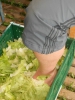 Zeltlager 2012