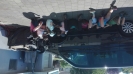 PHLF0367